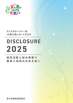 ディスクロージャー 2025年版