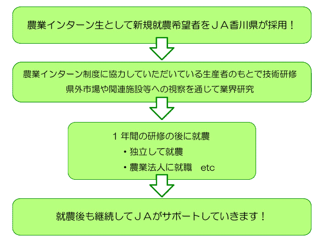 農業インターン生として新規就農希望者をJA香川県が採用　→　農業インターン制度に協力していただいている生産者のもとで技術研修 県外市場や関連施設等への視察を通じて業界研究　→　1年間の研修の後に就農 ・独立して就農 ・農業法人に就職 etc　→　就農後も継続してJAがサポートしていきます！