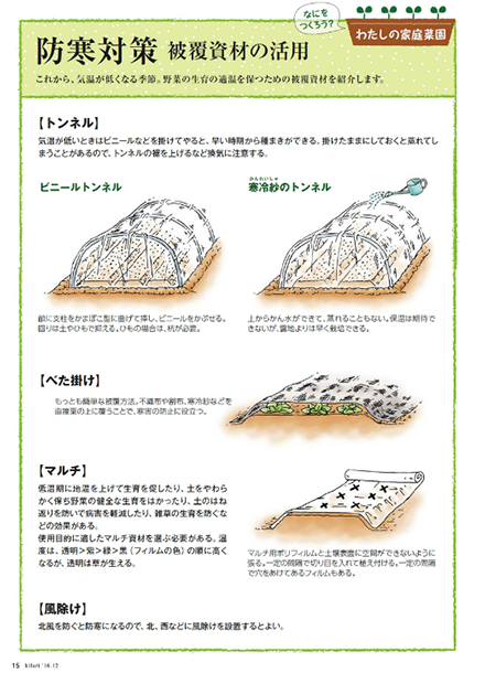 わたしの家庭菜園 Ja香川県 香川県農業協同組合