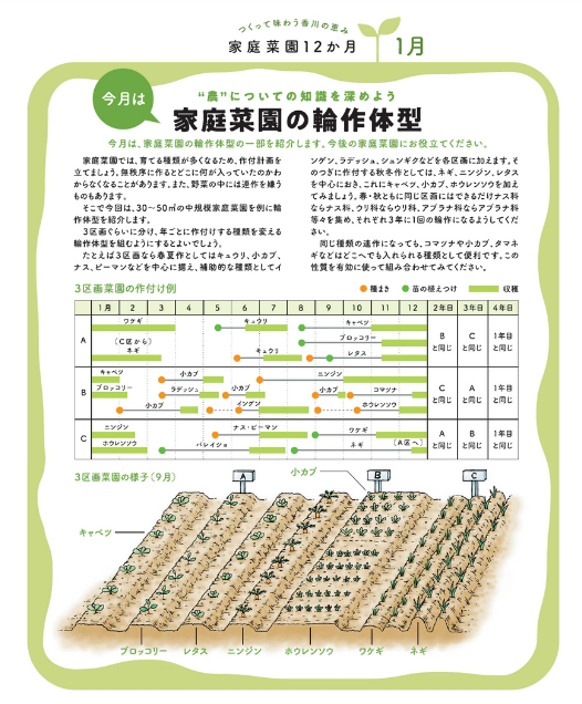 わたしの家庭菜園 Ja香川県 香川県農業協同組合