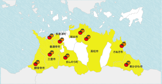 観音寺市　三豊市 善通寺市　多度津町　まんのう町　坂出市　高松市　さぬき市　東かがわ市