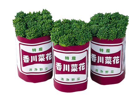 野菜 なばな Ja香川県 香川県農業協同組合