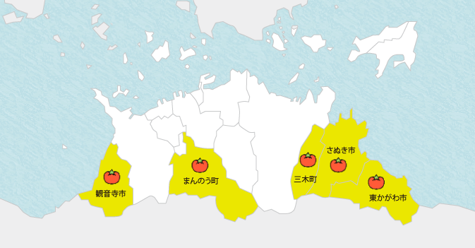 観音寺市　三豊市　丸亀市　綾川町　三木町　さぬき市　東かがわ市　土庄町　小豆島町　豊島