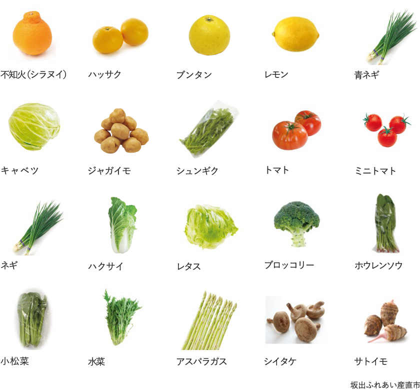 1qu1g7wdeolgem 1qu1g7wdeolgem