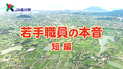 若手職員の本音（短編）