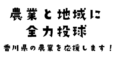 農業と地域に全力投球　香川県の農業を応援します！