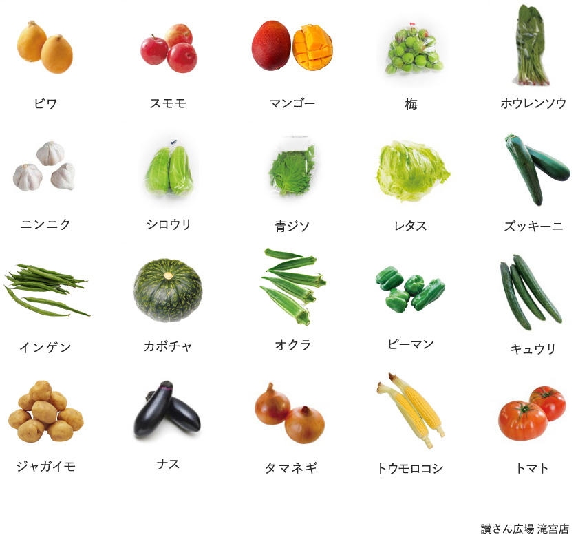 旬の農産物
