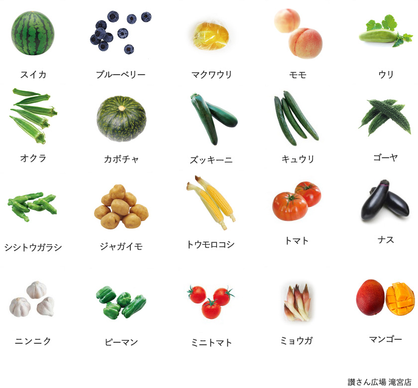 旬の農産物