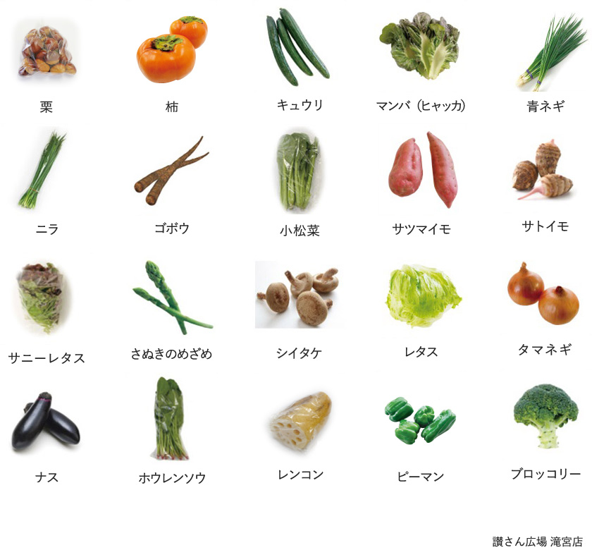 旬の農産物