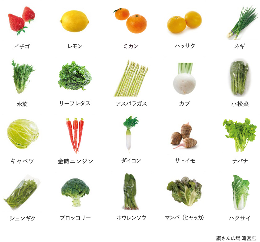 旬の農産物