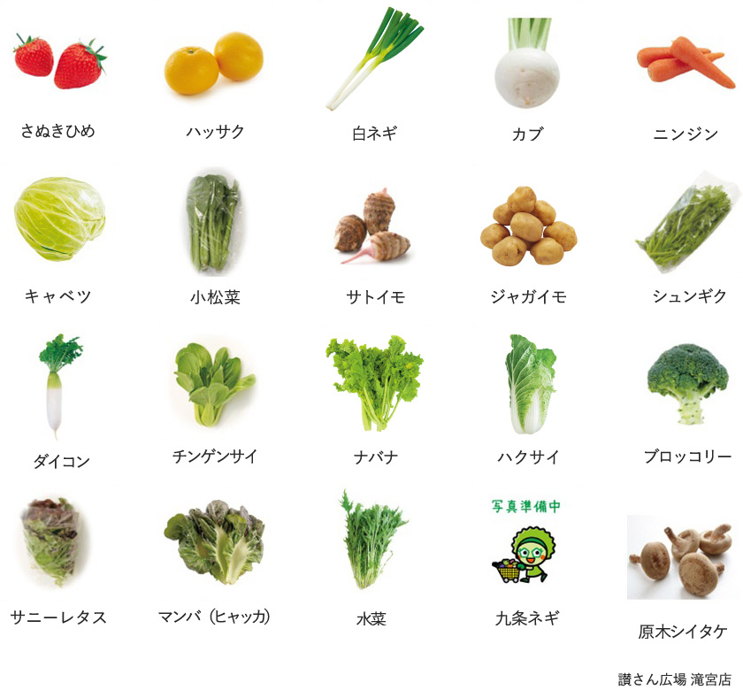 旬の農産物