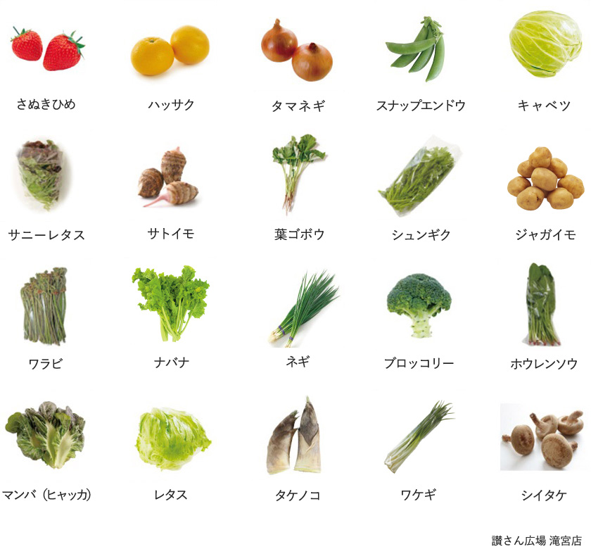 旬の農産物