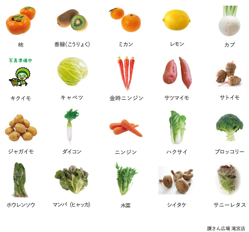 旬の農産物