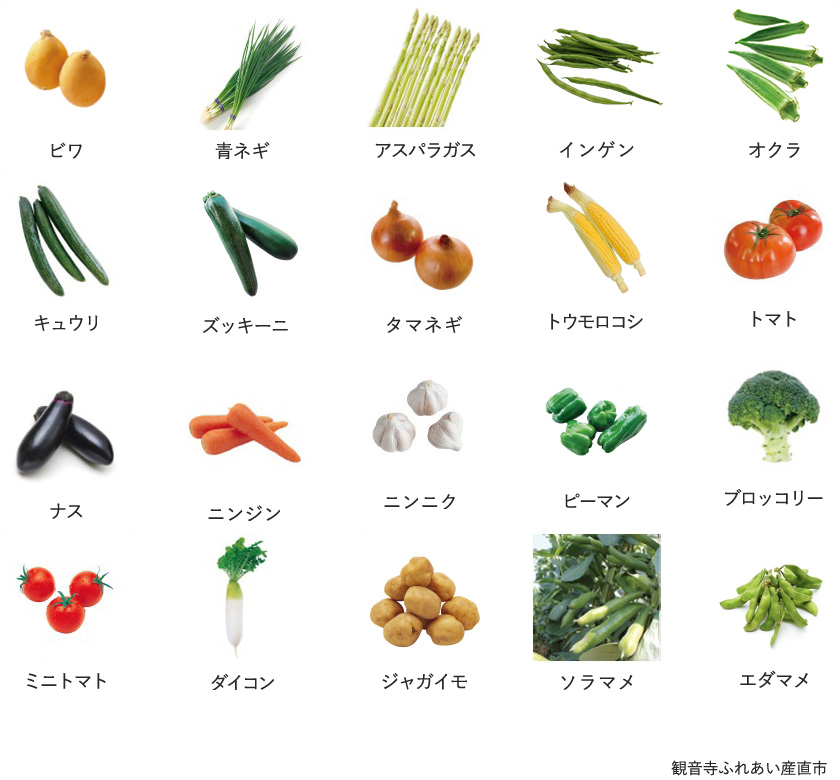 旬の農産物