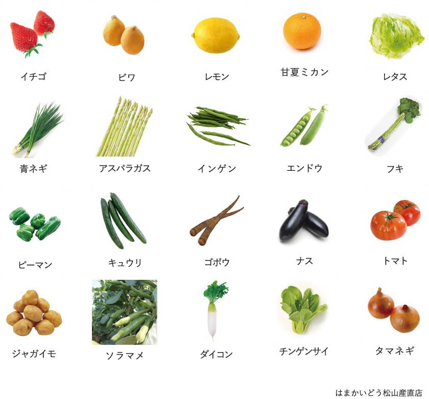 旬の農産物