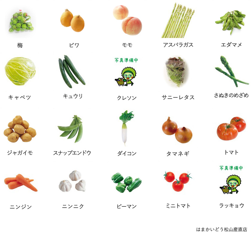 旬の農産物