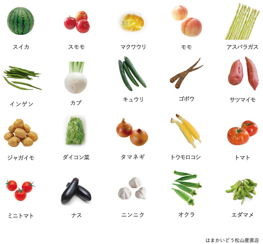 旬の農産物