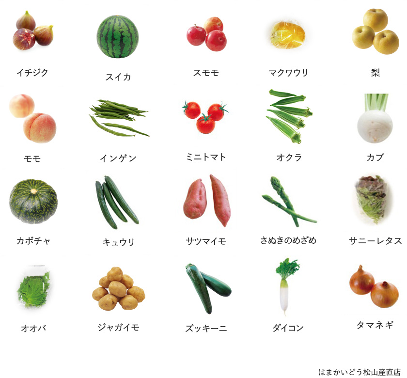 旬の農産物