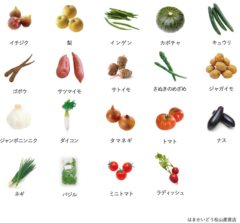 旬の農産物
