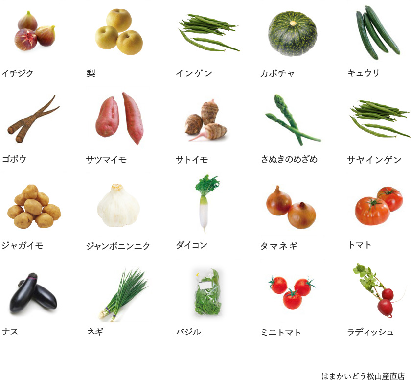 旬の農産物