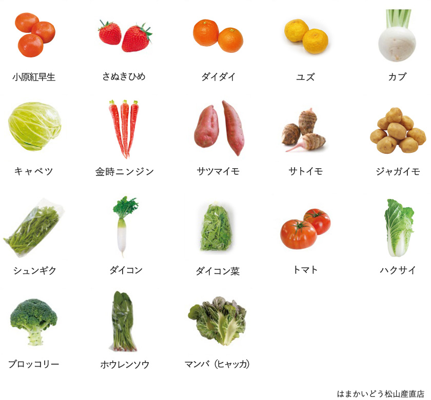 旬の農産物