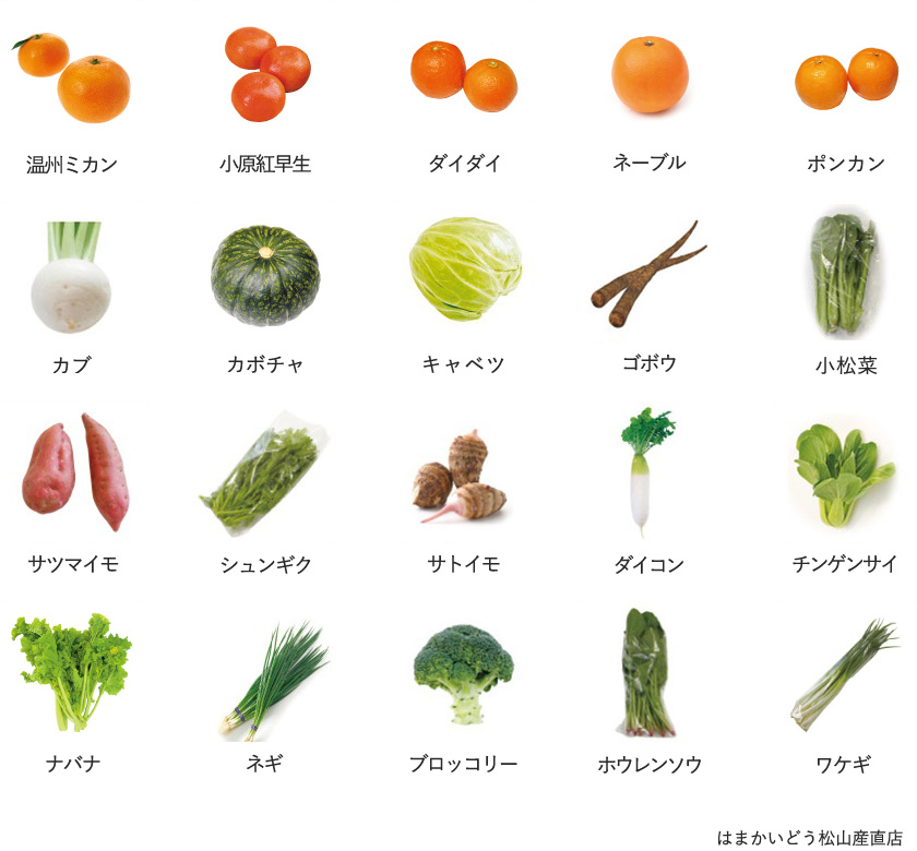 旬の農産物