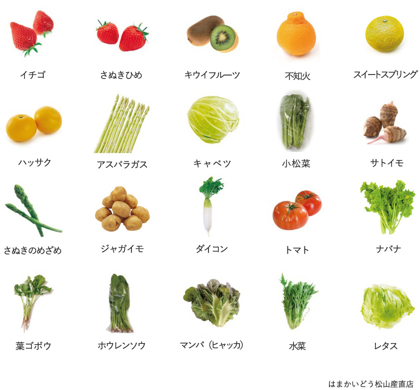 旬の農産物
