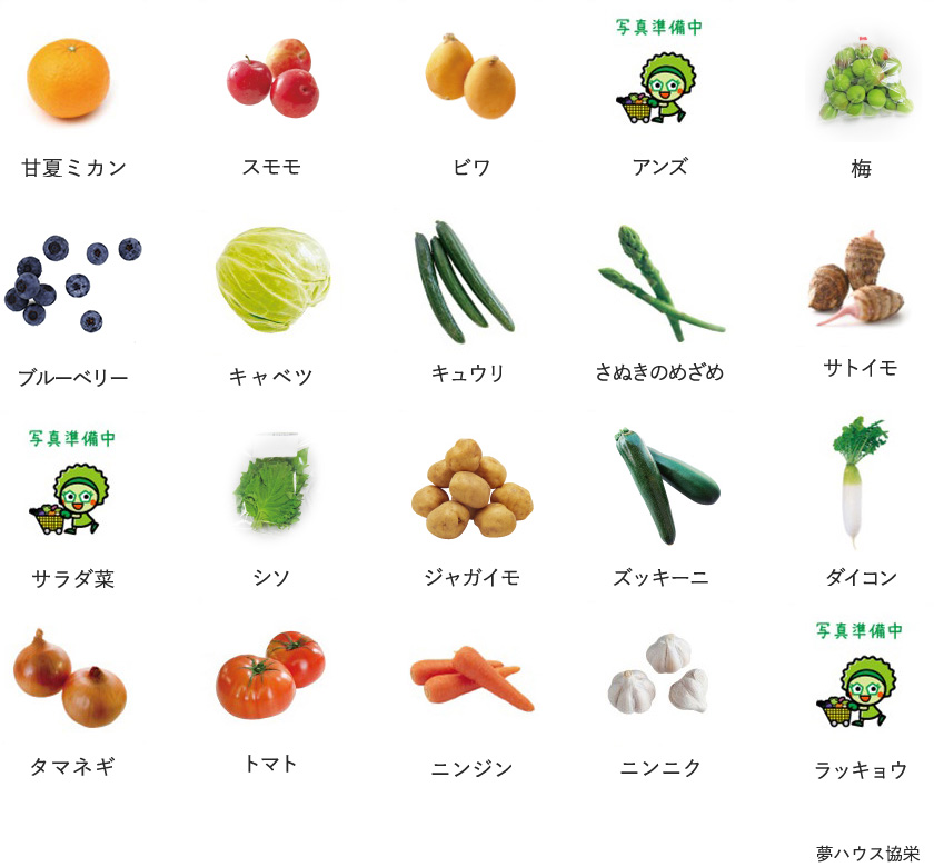 旬の農産物