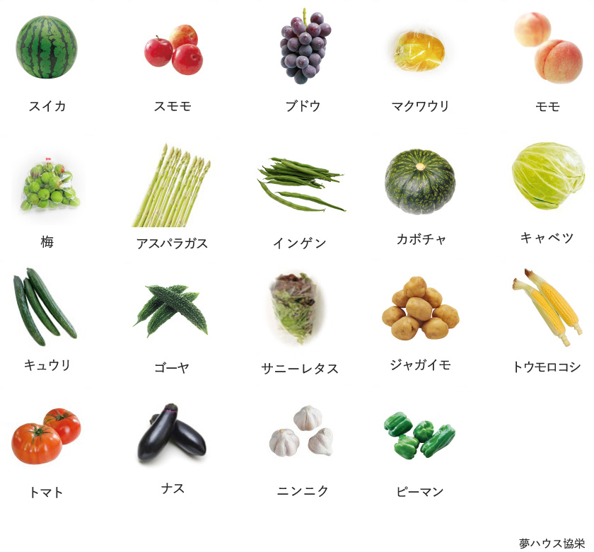旬の農産物