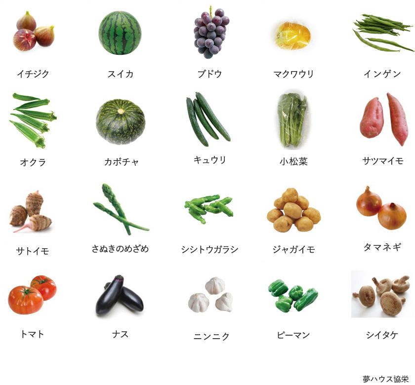 旬の農産物