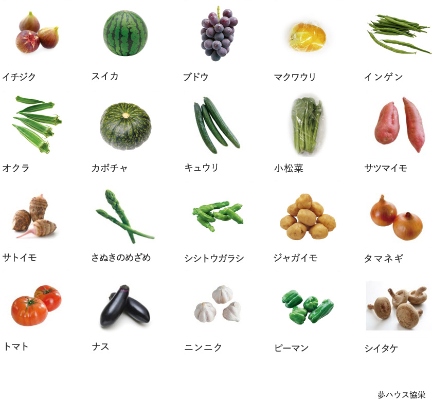旬の農産物