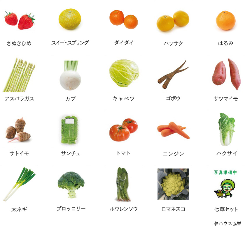 旬の農産物