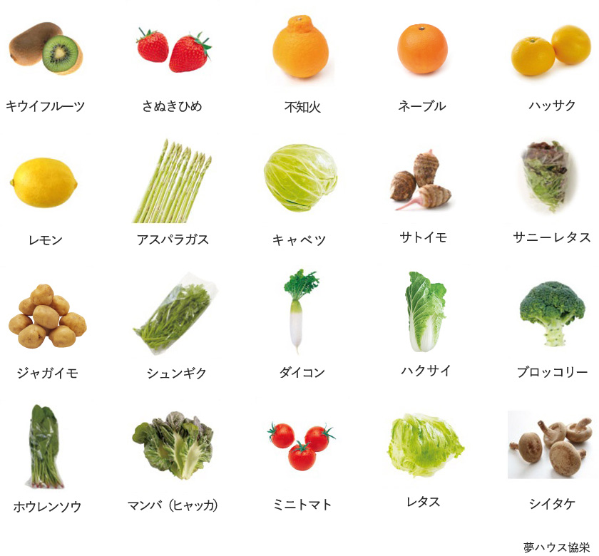 旬の農産物