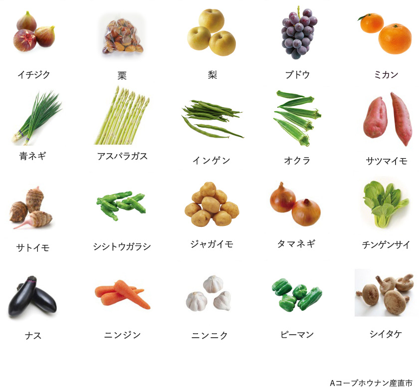 旬の農産物