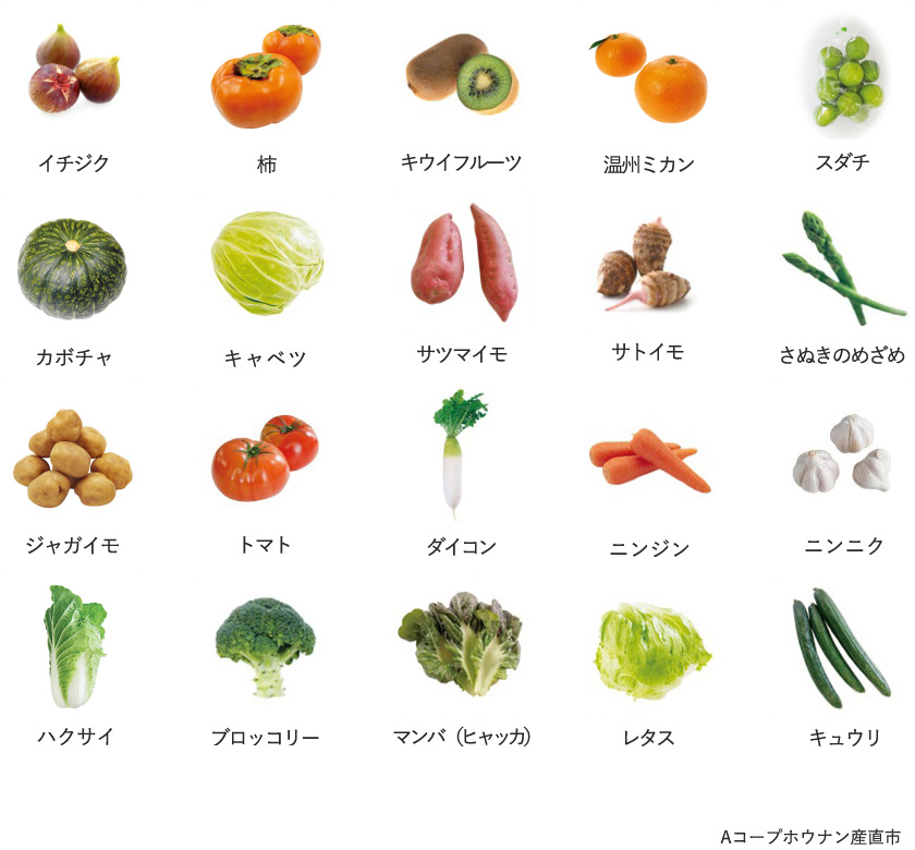 旬の農産物