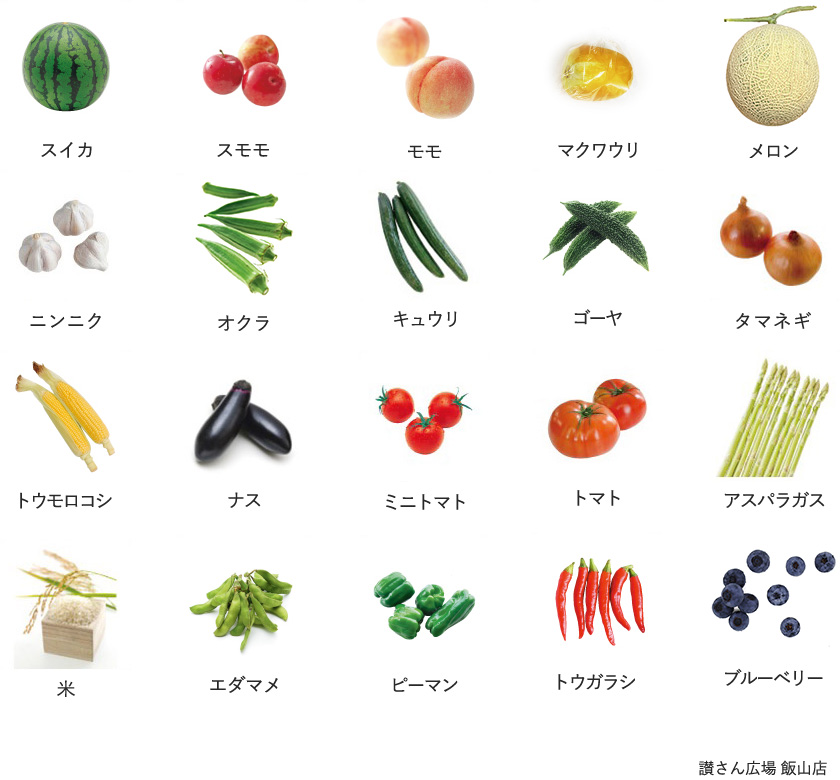 旬の農産物