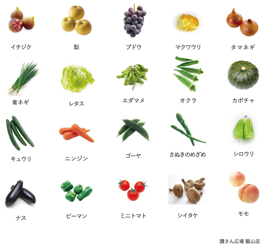 旬の農産物