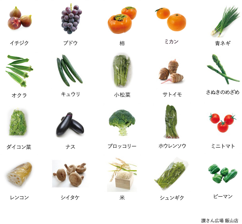 旬の農産物