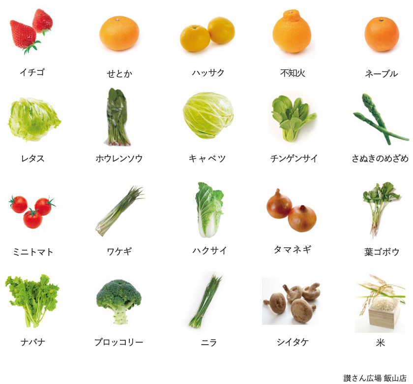 旬の農産物