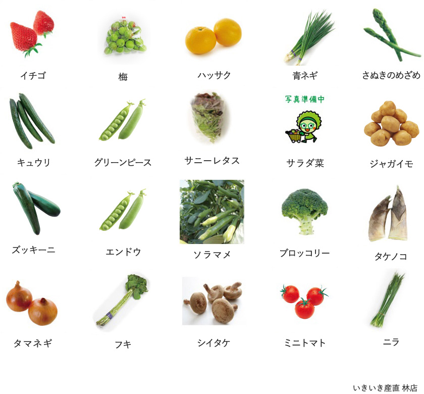 旬の農産物