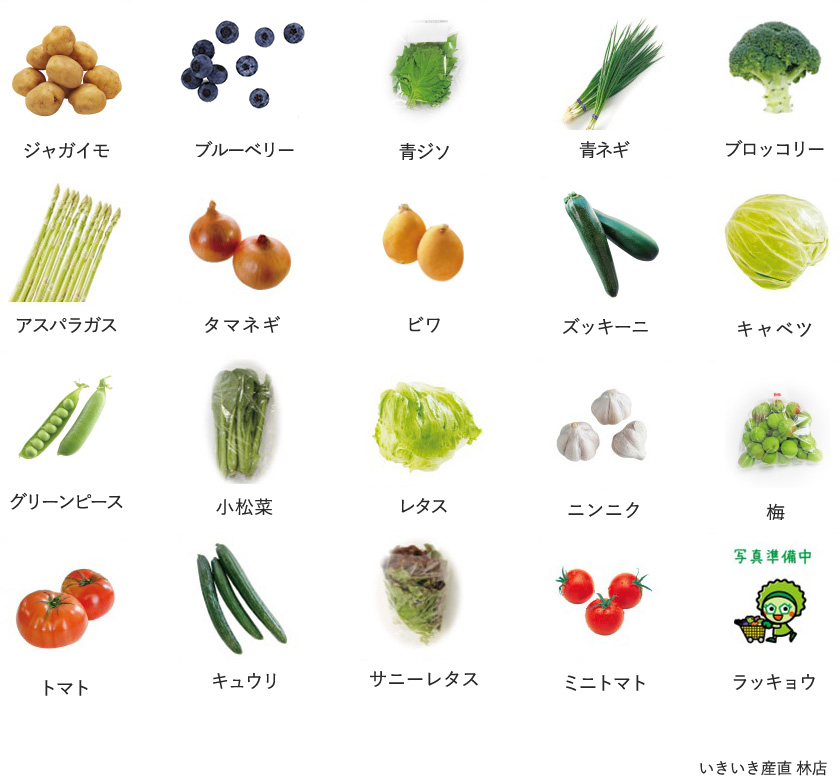 旬の農産物
