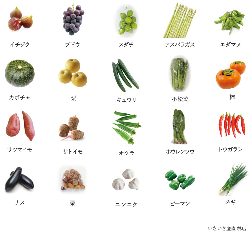 旬の農産物