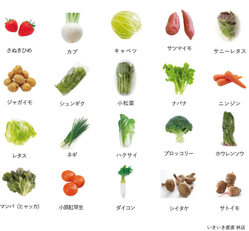 旬の農産物