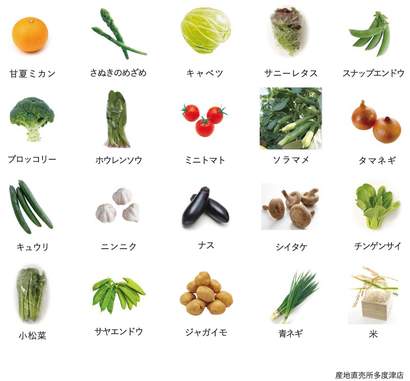旬の農産物