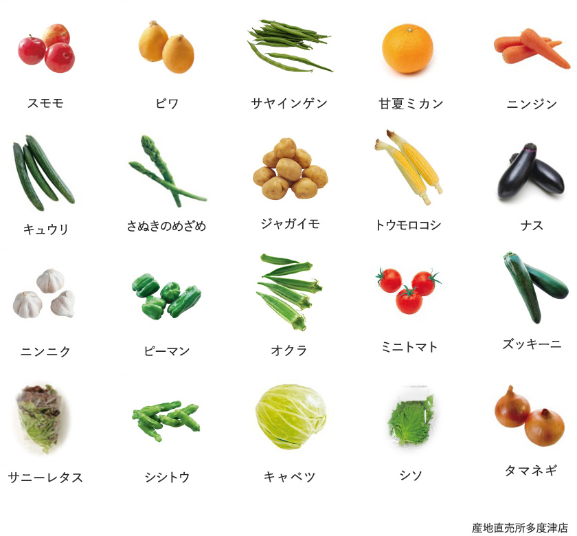 旬の農産物