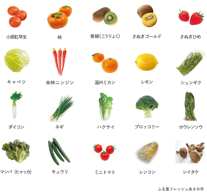 旬の農産物