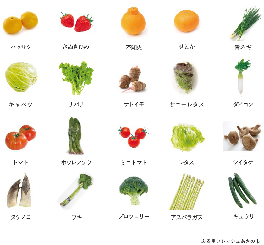 旬の農産物