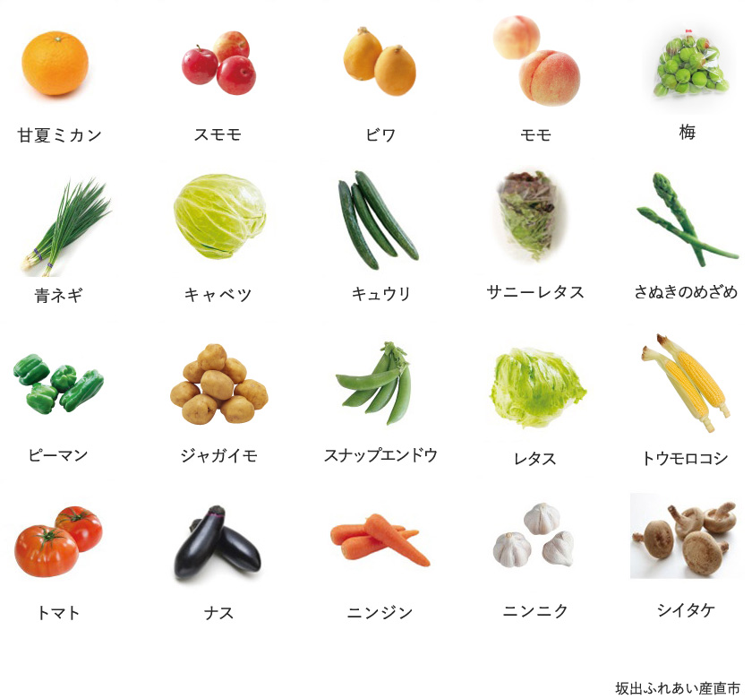 旬の農産物
