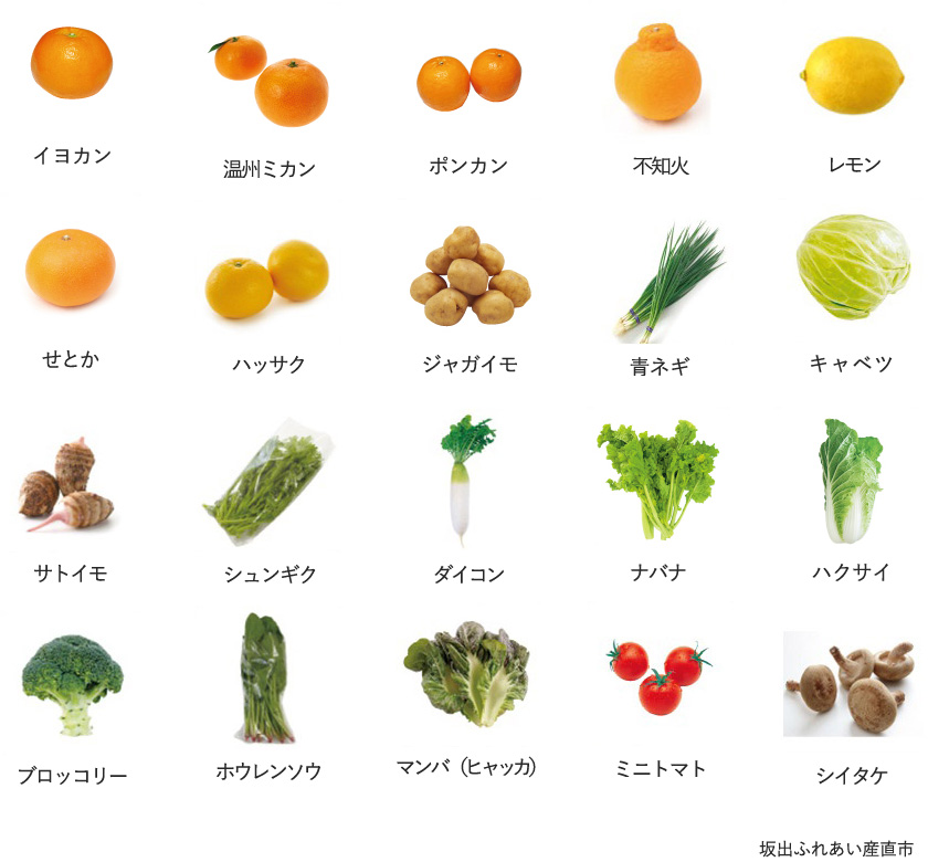 旬の農産物