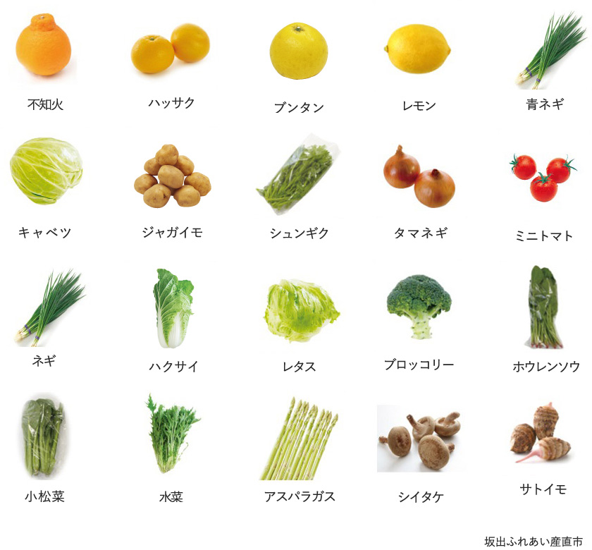 旬の農産物